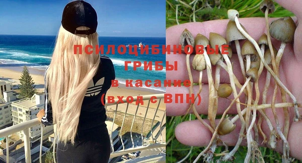 молекула духа Ханты-Мансийск
