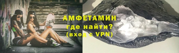 индика Елизово