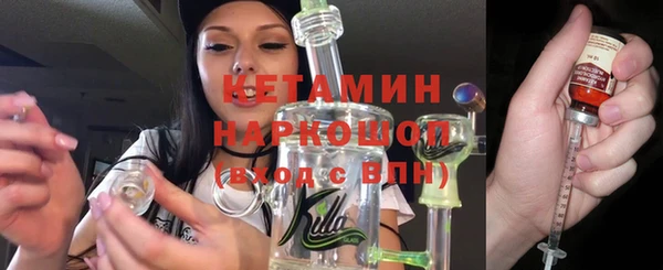 индика Елизово