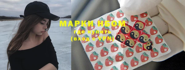 индика Елизово