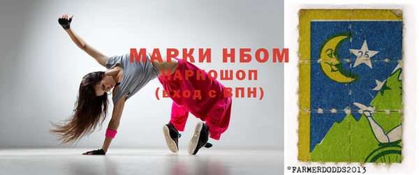 индика Елизово