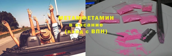 индика Елизово
