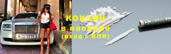 индика Елизово