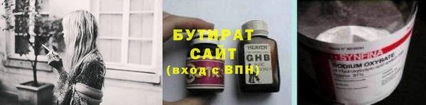 индика Елизово