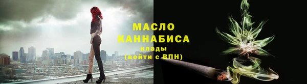 индика Елизово