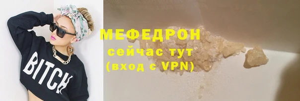 индика Елизово