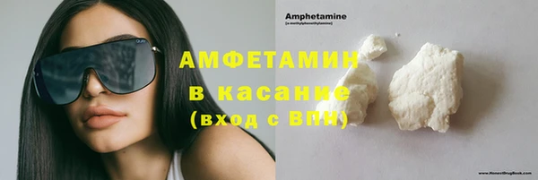 индика Елизово