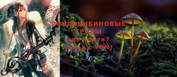 индика Елизово
