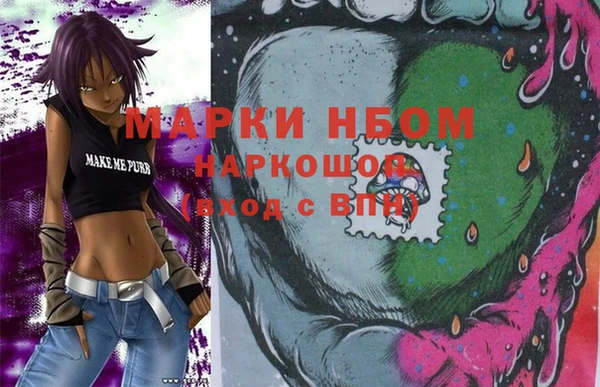 индика Елизово