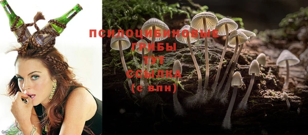 ALPHA-PVP Ельня