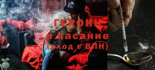 индика Елизово