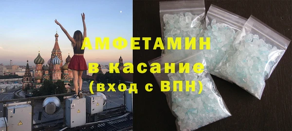индика Елизово