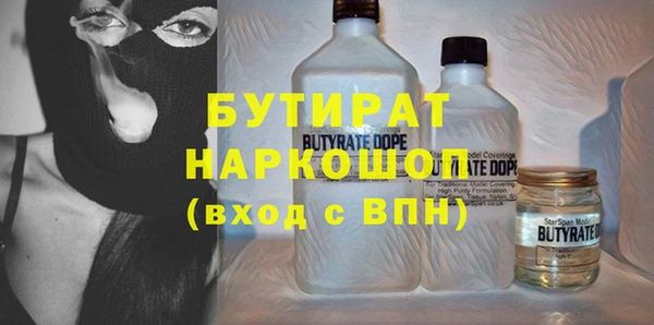 индика Елизово