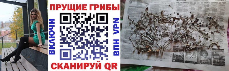 Галлюциногенные грибы мухоморы  Чегем 